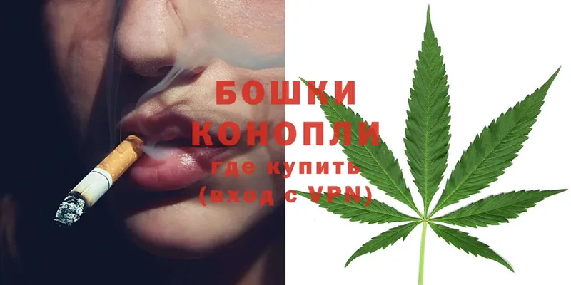 как найти   Салават  Бошки марихуана OG Kush 